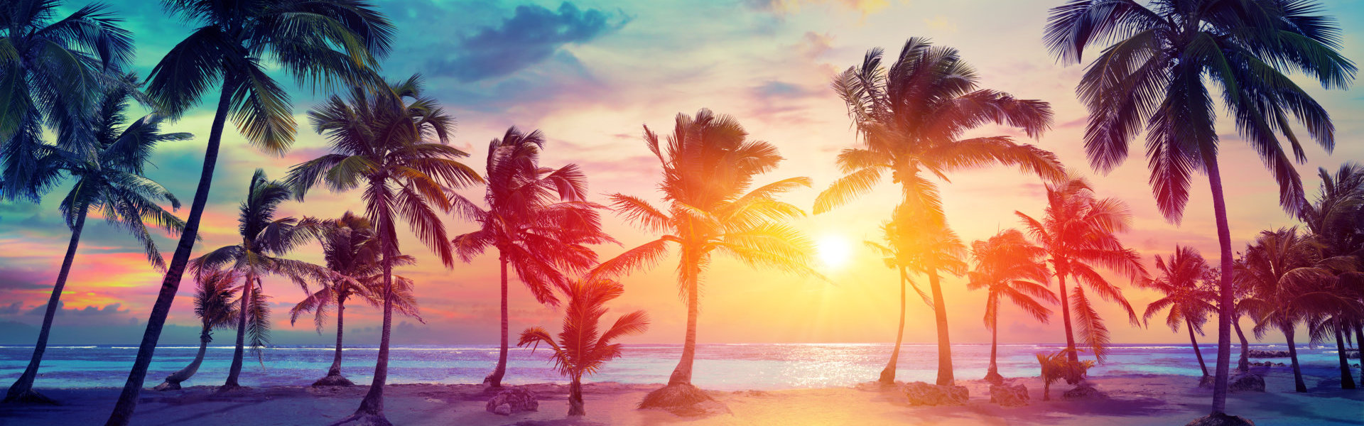 Palm Trees Silhouettes On Tropical Beach